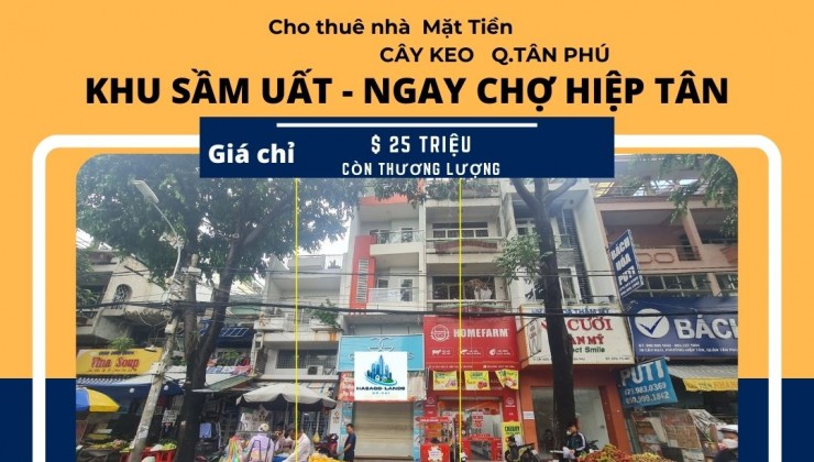 CỰC HIẾM - Cho thuê nhà Mặt Tiền D9 100m2, 2 Lầu+ST, 25Triệu